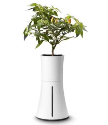 Botanium Automatic Watering and Soil-Free Growing Hydroponic Pot